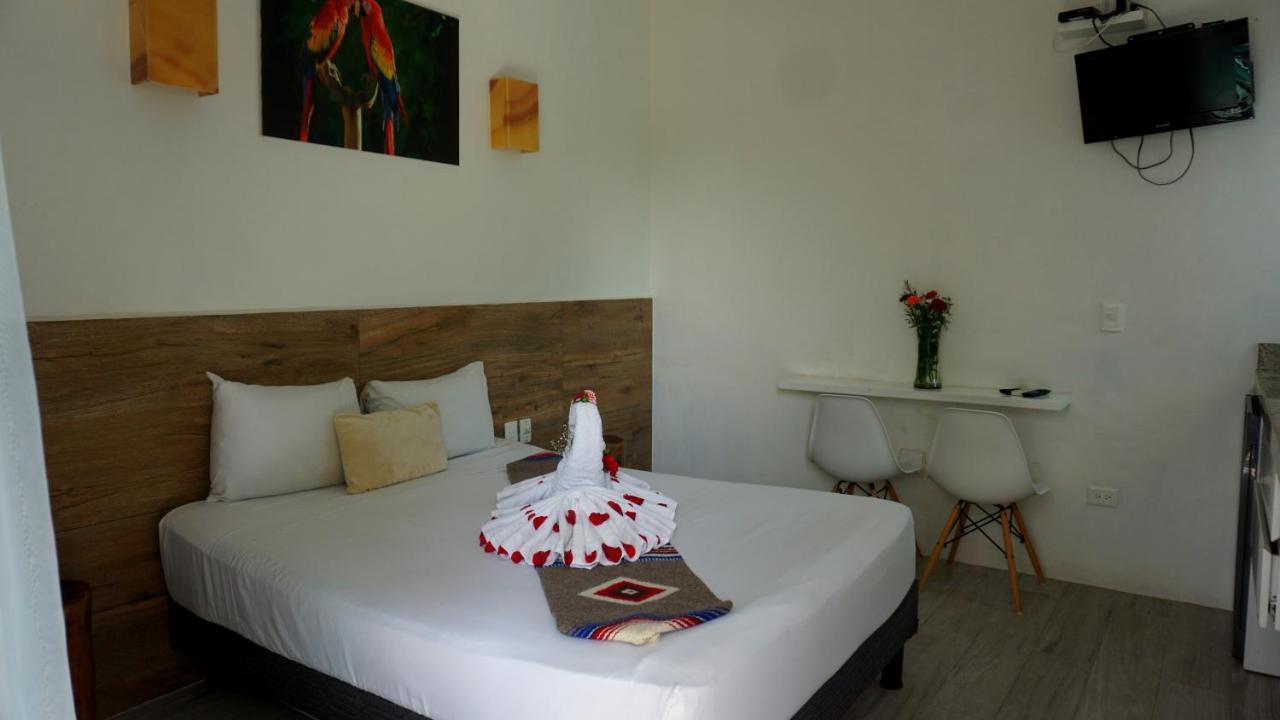 Selva Y Mar Apart Hotel Playa del Carmen Esterno foto
