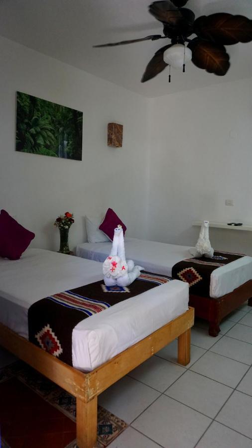 Selva Y Mar Apart Hotel Playa del Carmen Esterno foto