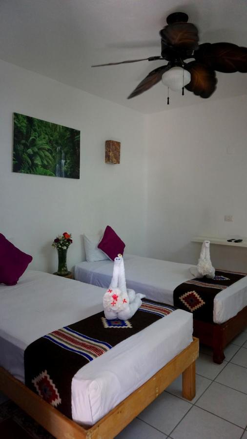 Selva Y Mar Apart Hotel Playa del Carmen Esterno foto